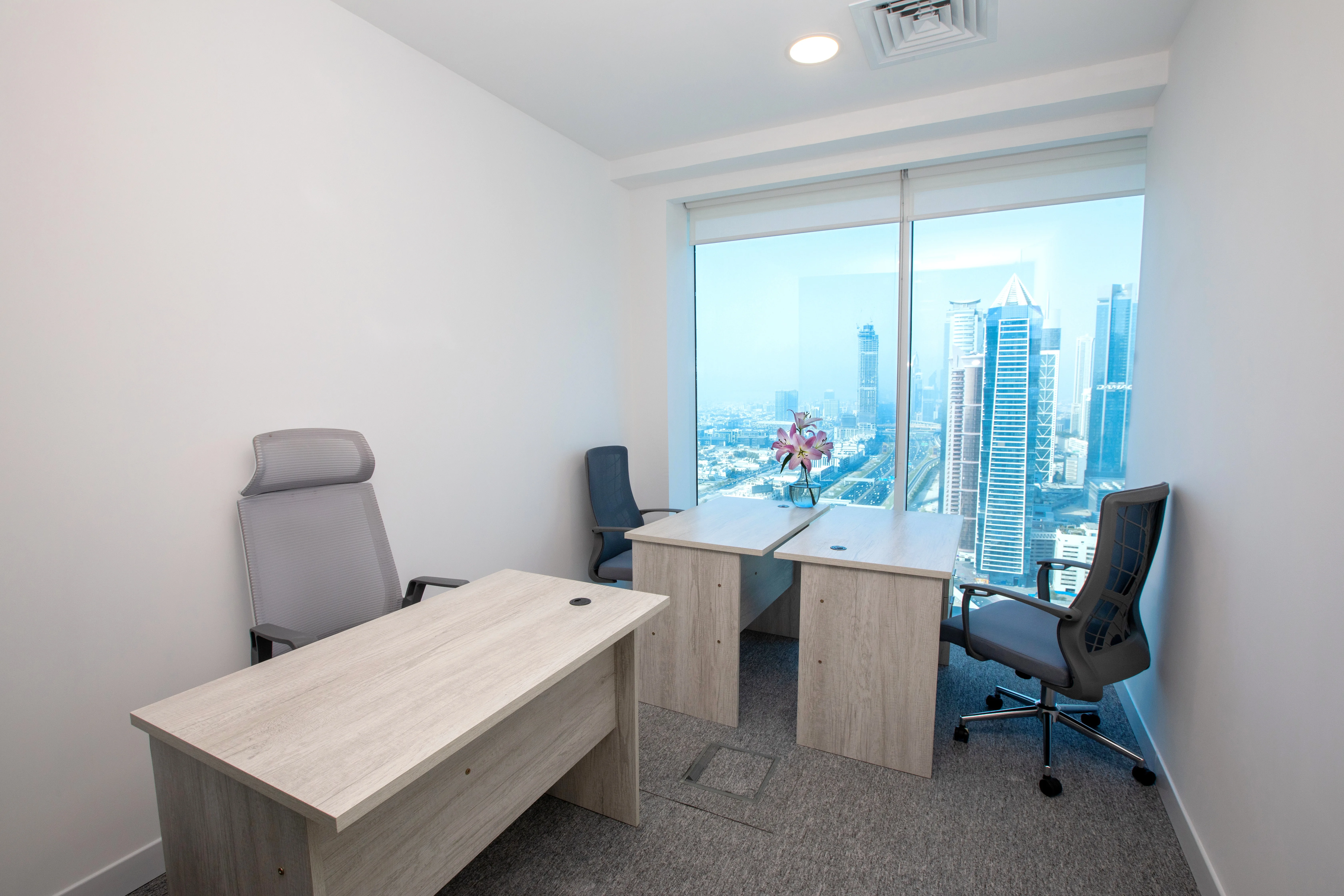 Virtual office WEBIZZ
