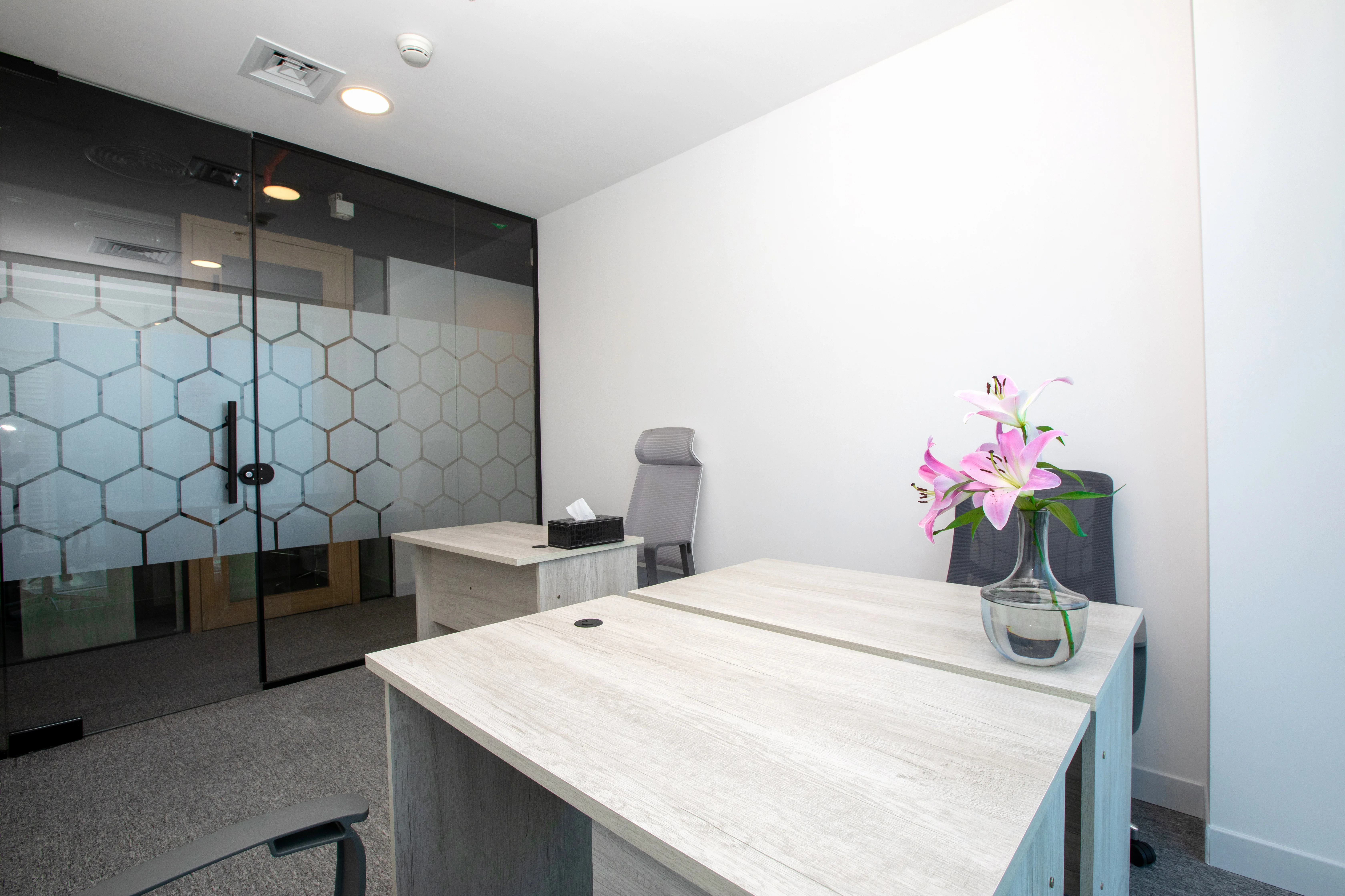 Office Gallery 3